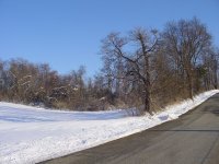 A Field in Lower Allen Township