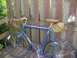My bike with shellac on the bars
