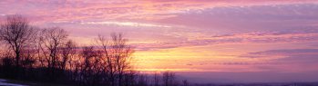 The sunset