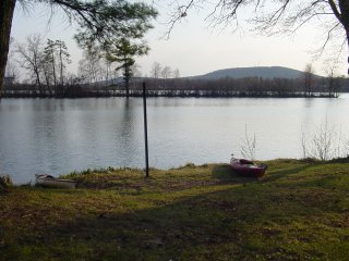 The Kayaks