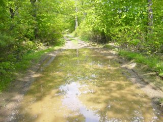Mud Puddle Mud Puddle