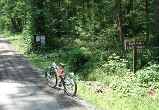 Our bikes in the woods Our bikes in the woods